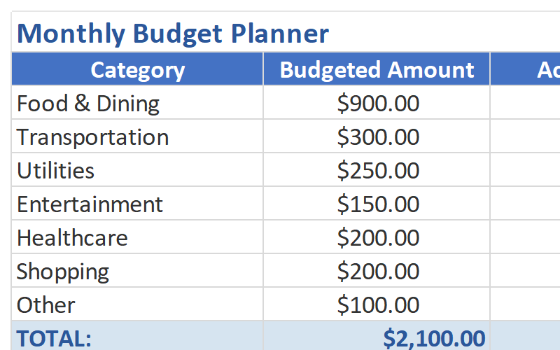 Budget vs Actual Planner